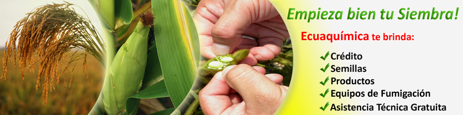 Semillas ECUAQU�MICA